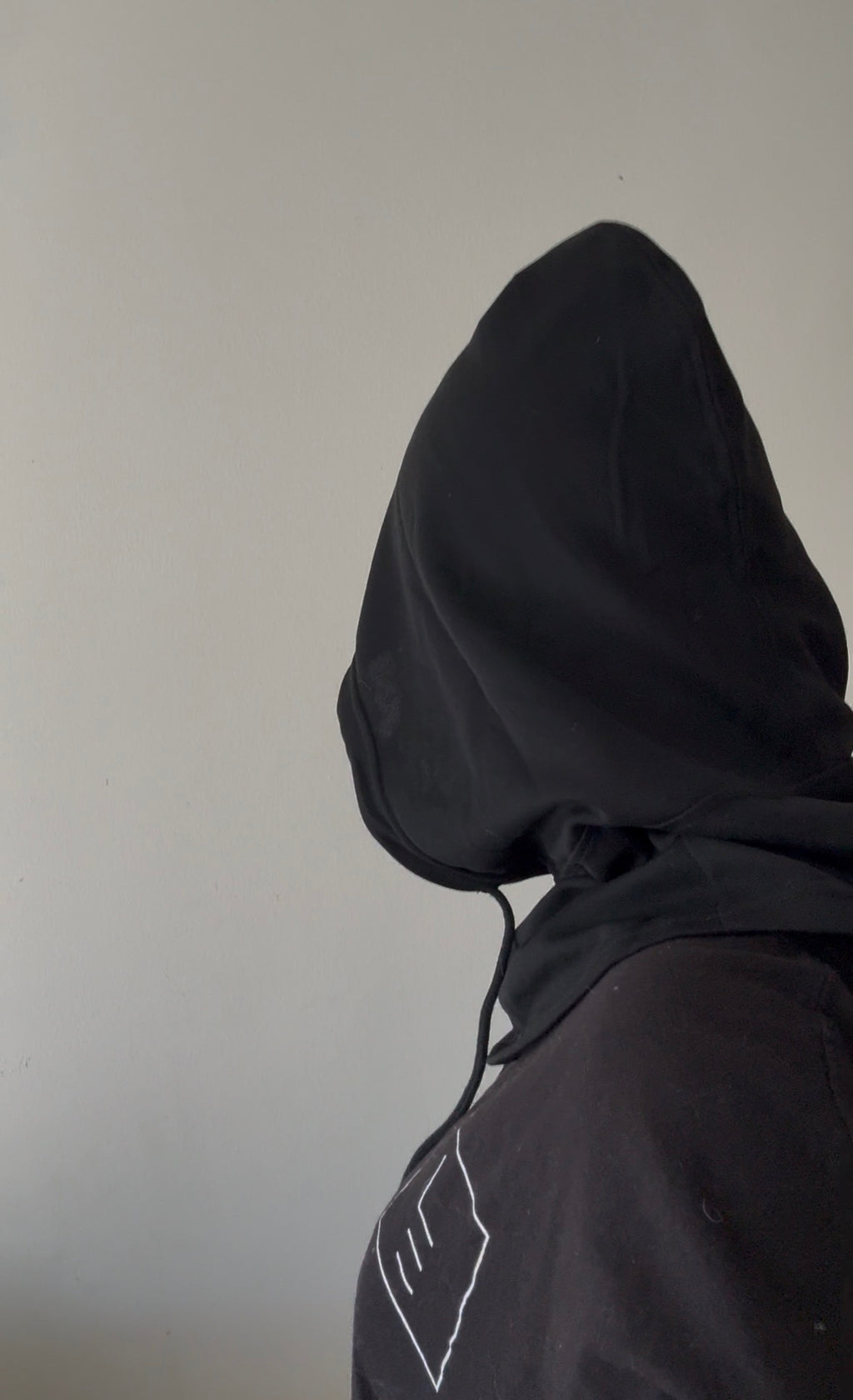 Faraday Hood- gray or black